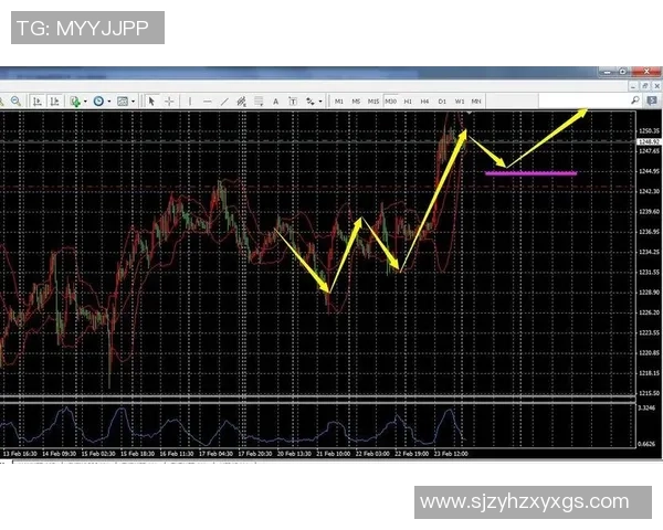 捷克与俄罗斯篮球对决直播精彩瞬间全程回顾与分析